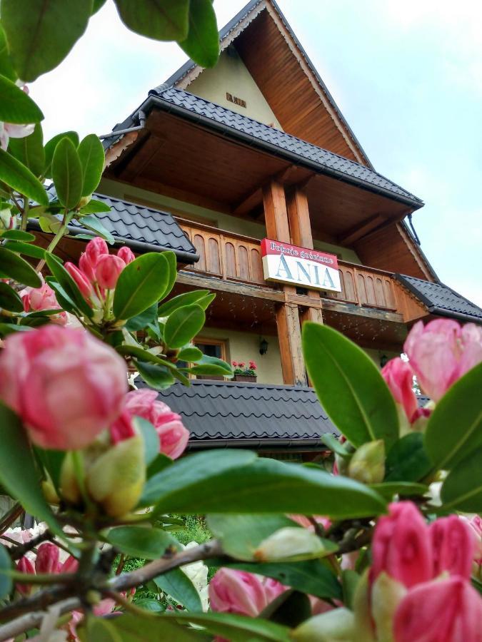 Ania Wynajem Pokoi Zakopane Exterior foto